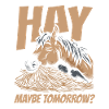 Horse Equestrian Sports