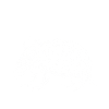 Armadillo