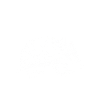 Armadillo