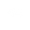 Armadillo