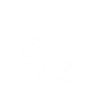Armadillo