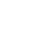Armadillo