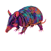 Armadillo