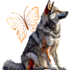 Elkhound