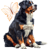 Entlebucher Mountain Dog