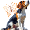 Foxhound