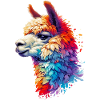 Alpaca