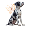 Deutsche Dogge