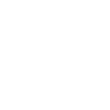 Fledermausfisch weiß