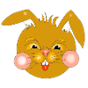 Rabbit Head