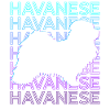 Havanese Dog Retro