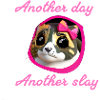 Another day another slay,cat, loop