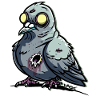 Blind creepy zombie pigeon