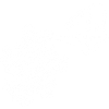Le retour du printemps (blanc)