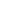 Vélociraptor Dinosaur Velo