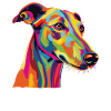 Wasserfarben Farbenfroher Greyhound