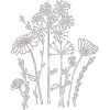 Fleurs séchées