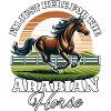 Cavalier arabe