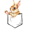 Lapin mignon