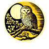 Owl Art