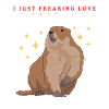 Marmotte Munggen Mankai marmotte cadeau