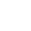 Cute Squirrel in Tattoo Style