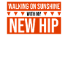 Hip Replacement Surgery Arthroplasty