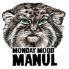 Manul schwarz