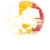 Belgian equestrian competition coach