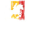 Belgian equestrian competition coach