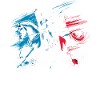 France equestrian competition coach