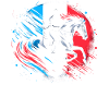 France equestrian competition coach