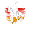 Germany Equestrian Competition Coach