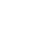 Party