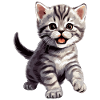 Cat Cats American Shorthair