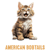 Chat Chats American Bobtail