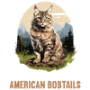 Cat Cats American Bobtail