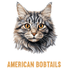 Cat Cats American Bobtail
