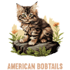 Chat Chats American Bobtail