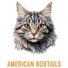Cat Cats American Bobtail