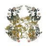 Rådyr, Krondyr, Sverige, Skandinavien, Natur, Flora
