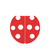 Little Ladybug