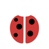 Little Ladybug