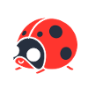 Little Ladybug