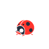 Citation Humour Petite coccinelle