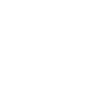 1955