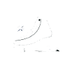 Ice Skating Ice Skaters