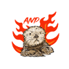 Sea otter