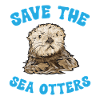 Sea otter
