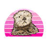 Sea otter